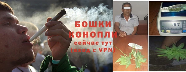 ГАЛЛЮЦИНОГЕННЫЕ ГРИБЫ Вяземский