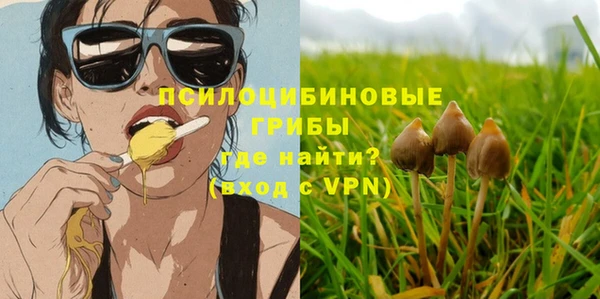 ГАЛЛЮЦИНОГЕННЫЕ ГРИБЫ Вяземский