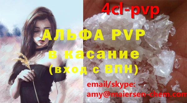 ГАЛЛЮЦИНОГЕННЫЕ ГРИБЫ Вязники