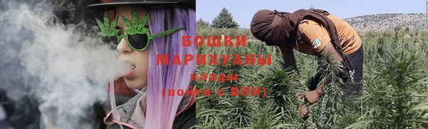 ГАЛЛЮЦИНОГЕННЫЕ ГРИБЫ Вязники