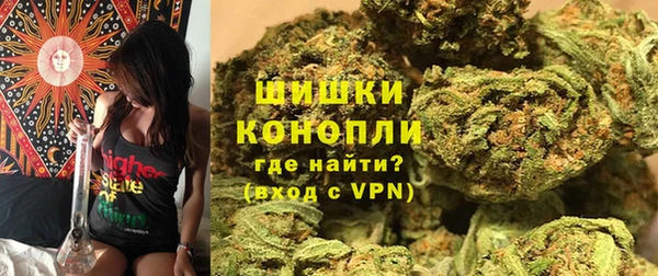 ГАЛЛЮЦИНОГЕННЫЕ ГРИБЫ Вязники