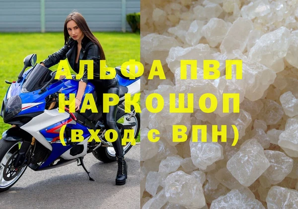 ГАЛЛЮЦИНОГЕННЫЕ ГРИБЫ Вяземский