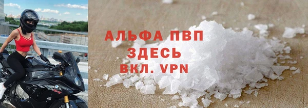 ГАЛЛЮЦИНОГЕННЫЕ ГРИБЫ Вязники