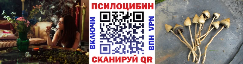 купить наркотики сайты  сайты даркнета какой сайт  Галлюциногенные грибы MAGIC MUSHROOMS  Ковров 